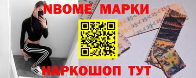 стаф Гай
