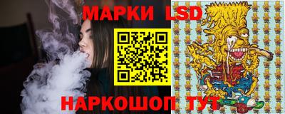стаф Гай