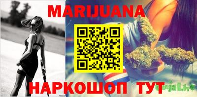 амф Гатчина