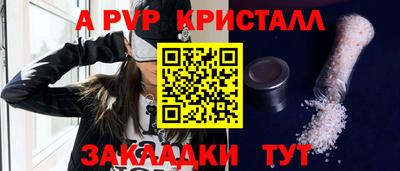 стаф Гай