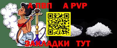 стаф Гай