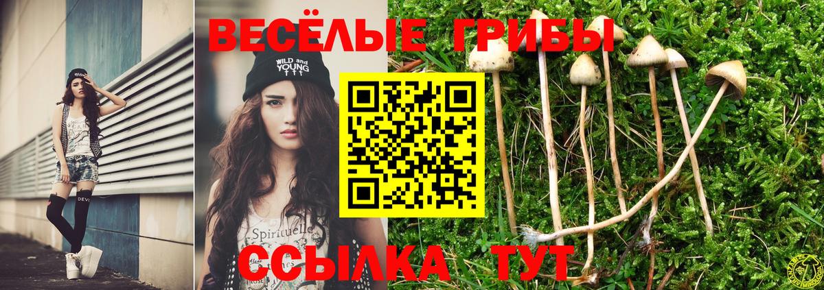 Галлюциногенные грибы ЛСД Волоколамск