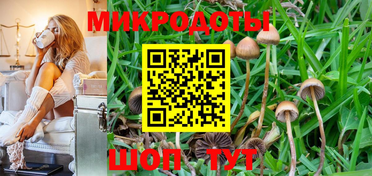 Галлюциногенные грибы Cubensis  Вход с VPN  Волоколамск 